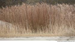 Photo of Mixed Textures